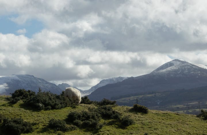 Some of today's views