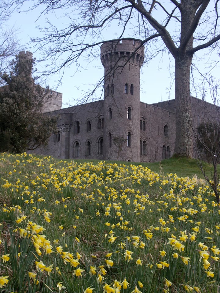 Woodland walks and talks on wood