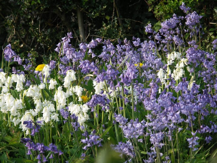 My Creative Workspace