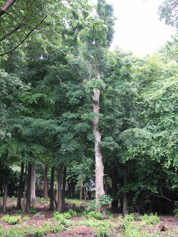 Yesterday, Today and Tomorrow