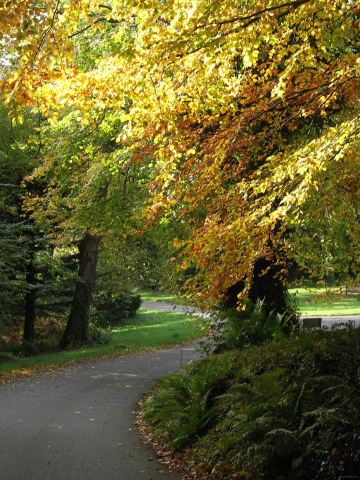 Starting the day - stirring the senses