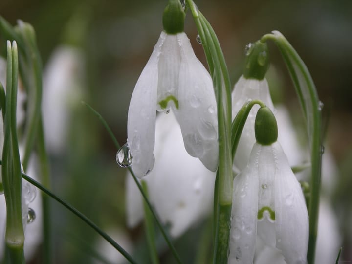 On concepts of design