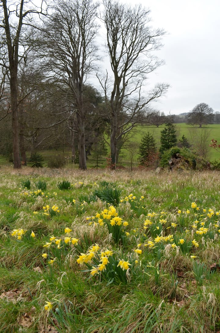 Penrhyn's mixed scape by the sea