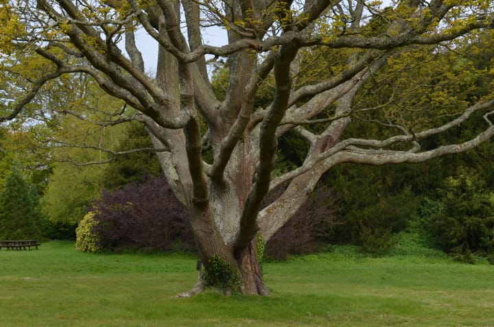 Success immeasurable.