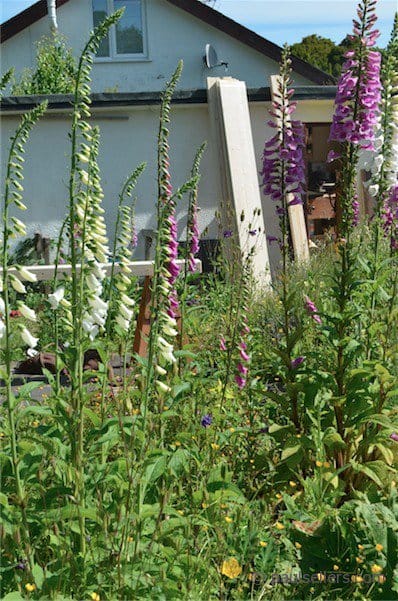 How to Build a Workbench – Preparing the Aprons and Legs (part3)