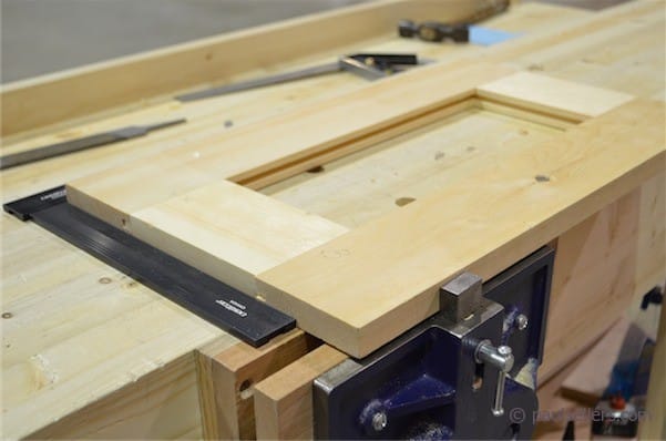 Are dogs a man's best friend?