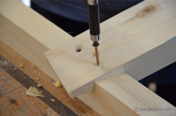 On Thoroughbred Saw Horses