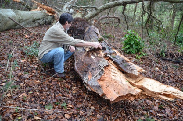 Woodworkers in Real Woodworking