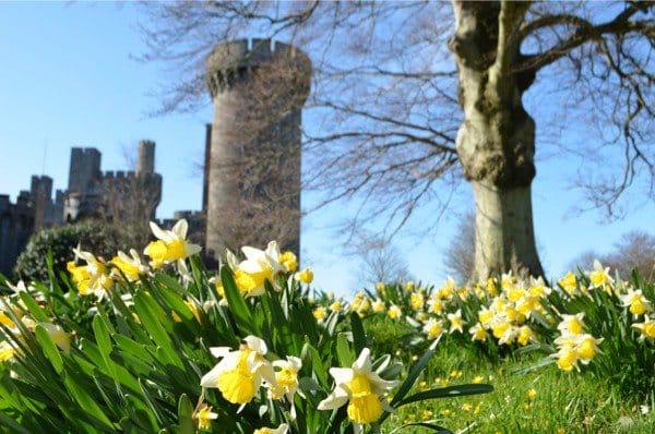 A New Nine-day Course Starts this Weekend