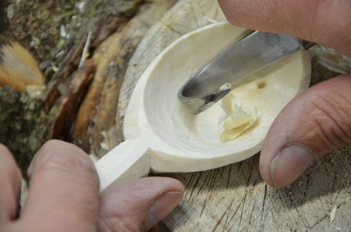 Questions Answered - A Free Tree Source ?