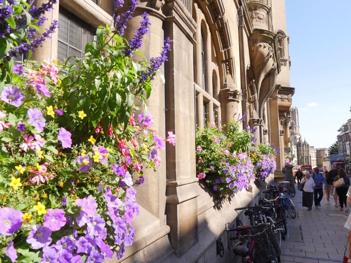 Disappearing Crafts Reappearing