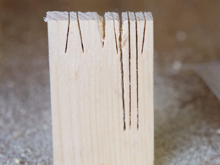 Shame On You Two Cherries, Shame On YOU!