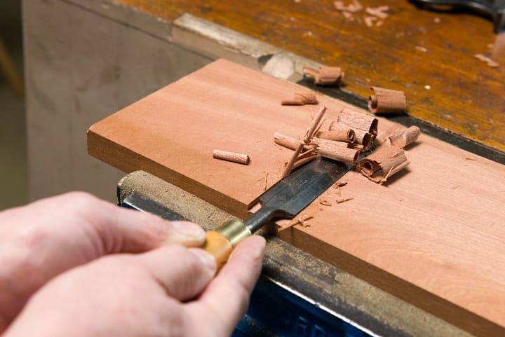 Skills Lost Regaining Future