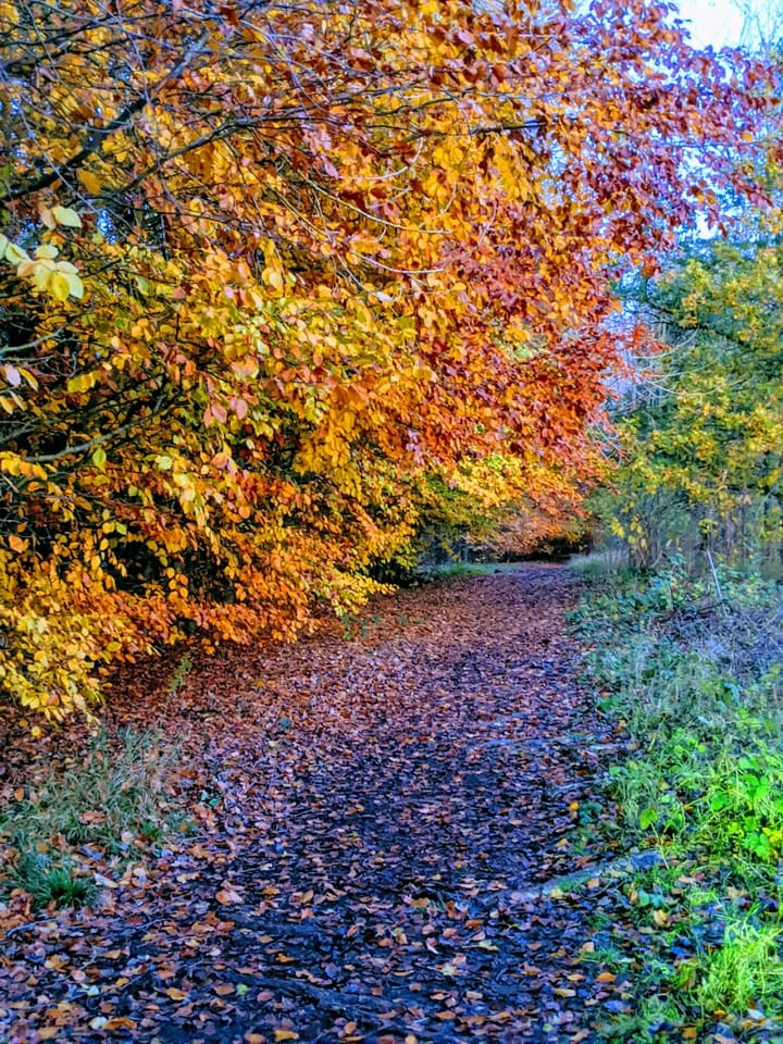 Confidence and Condition