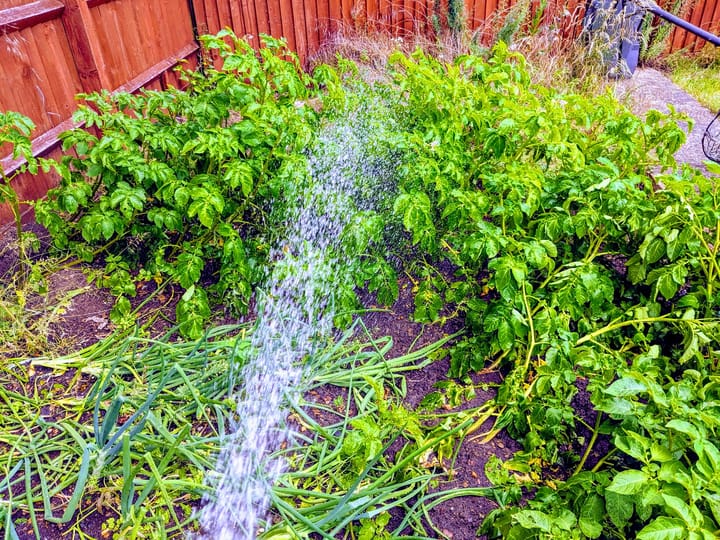 Work Brings Life to Masses