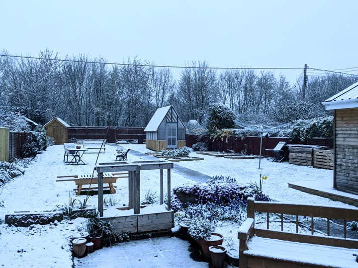 Springtime Innovation