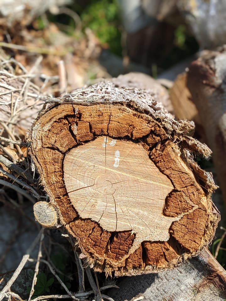 Experiential Learning