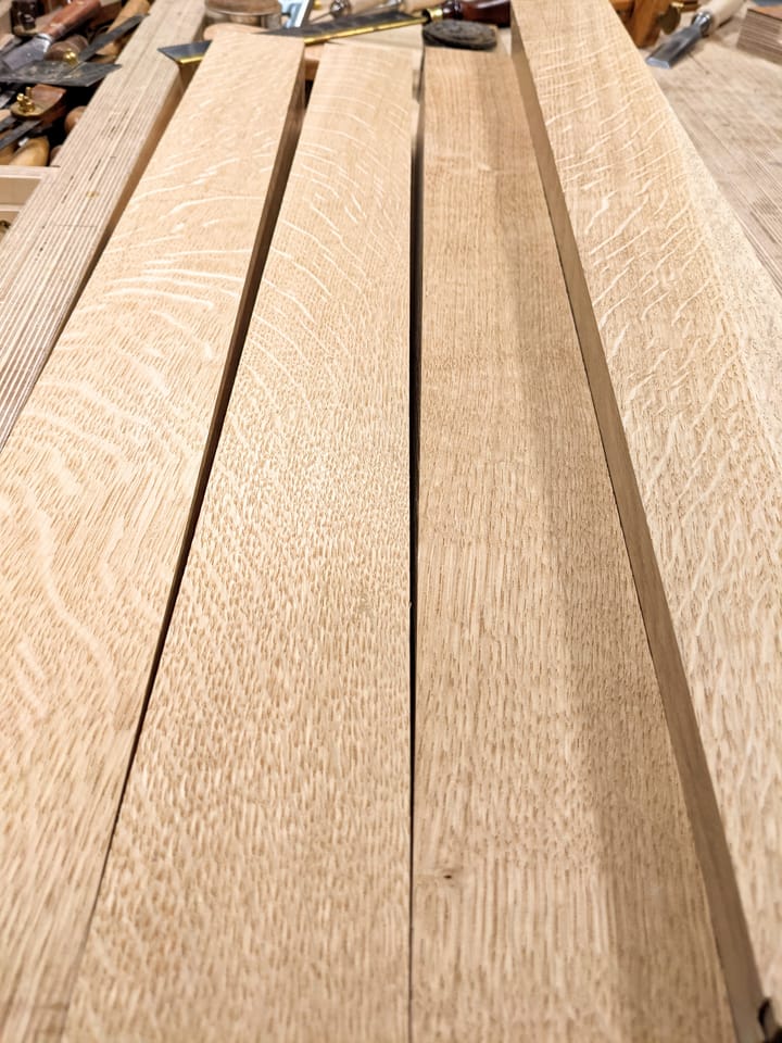 Medullary rays Brighten My Days