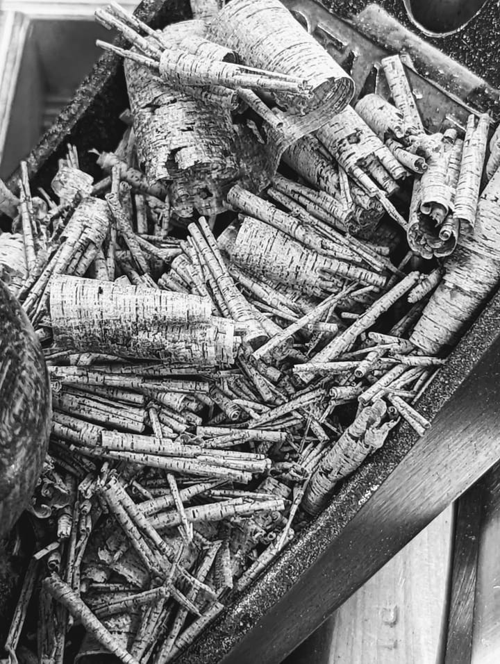 Jack Collins -- Quiet Influencer