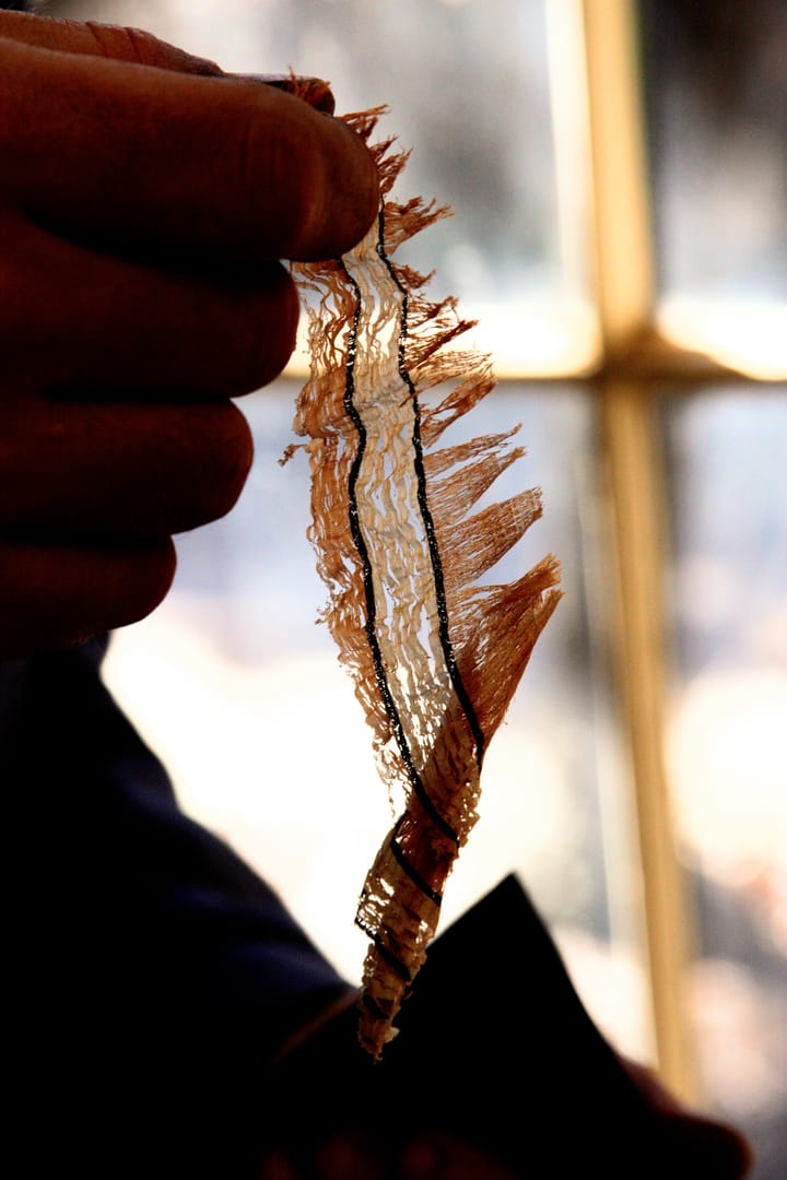 The Missing Years . . .