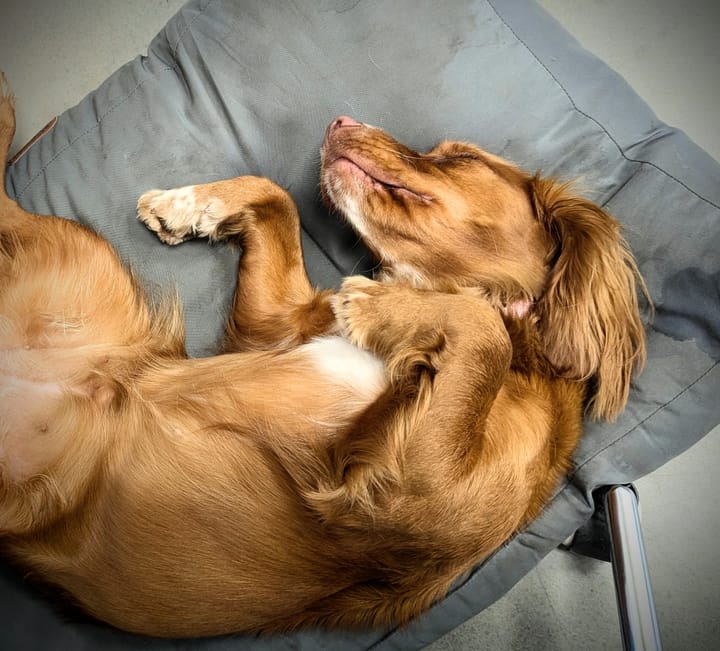 I'm On the Plane . . .