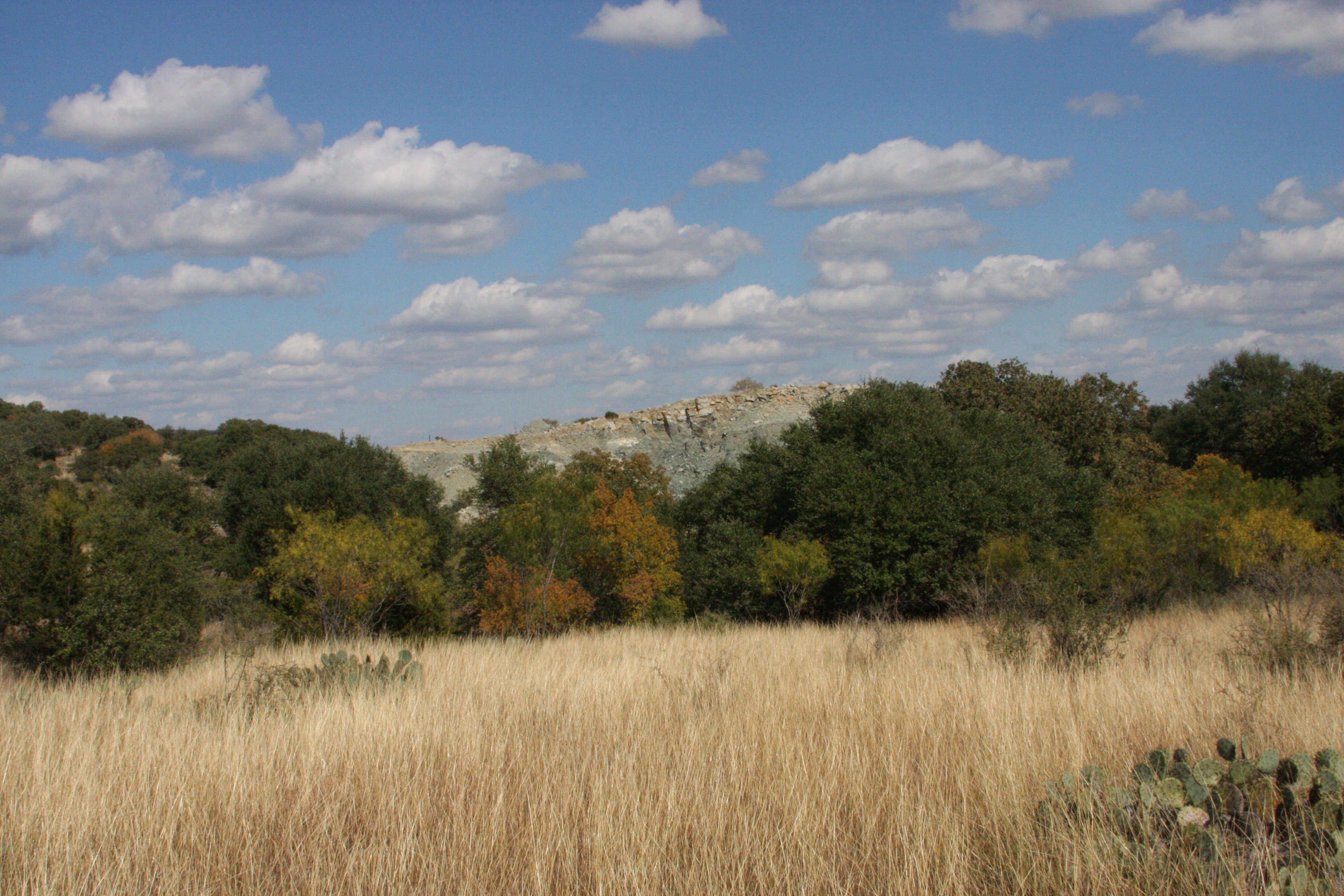 Paul Sellers Photo Images