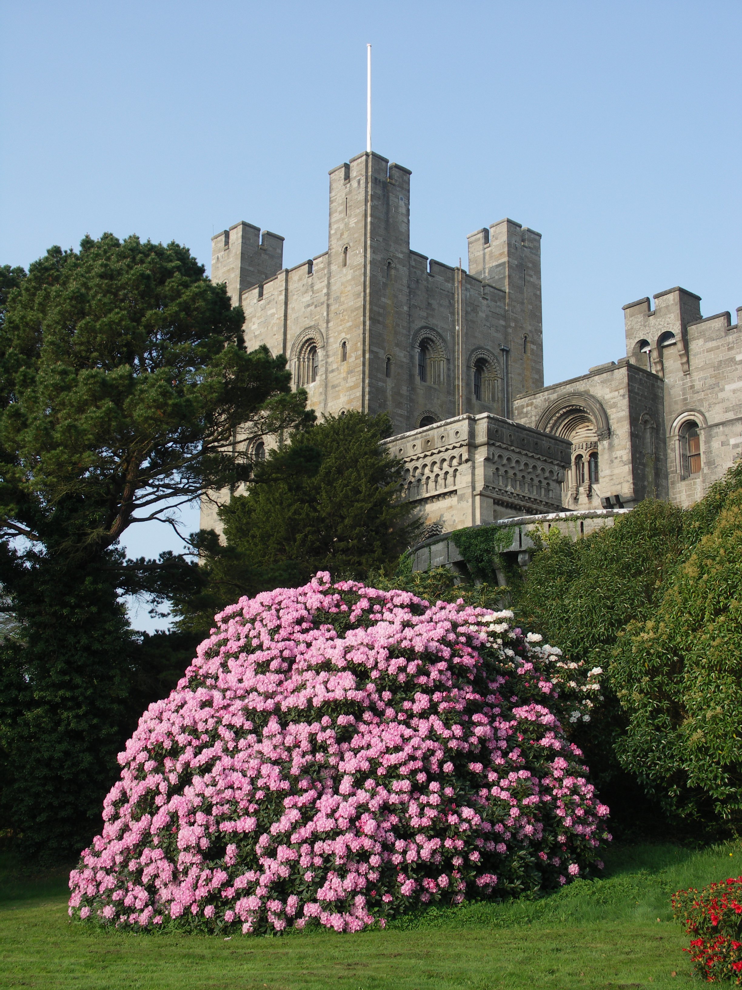 Paul Sellers Photo Images