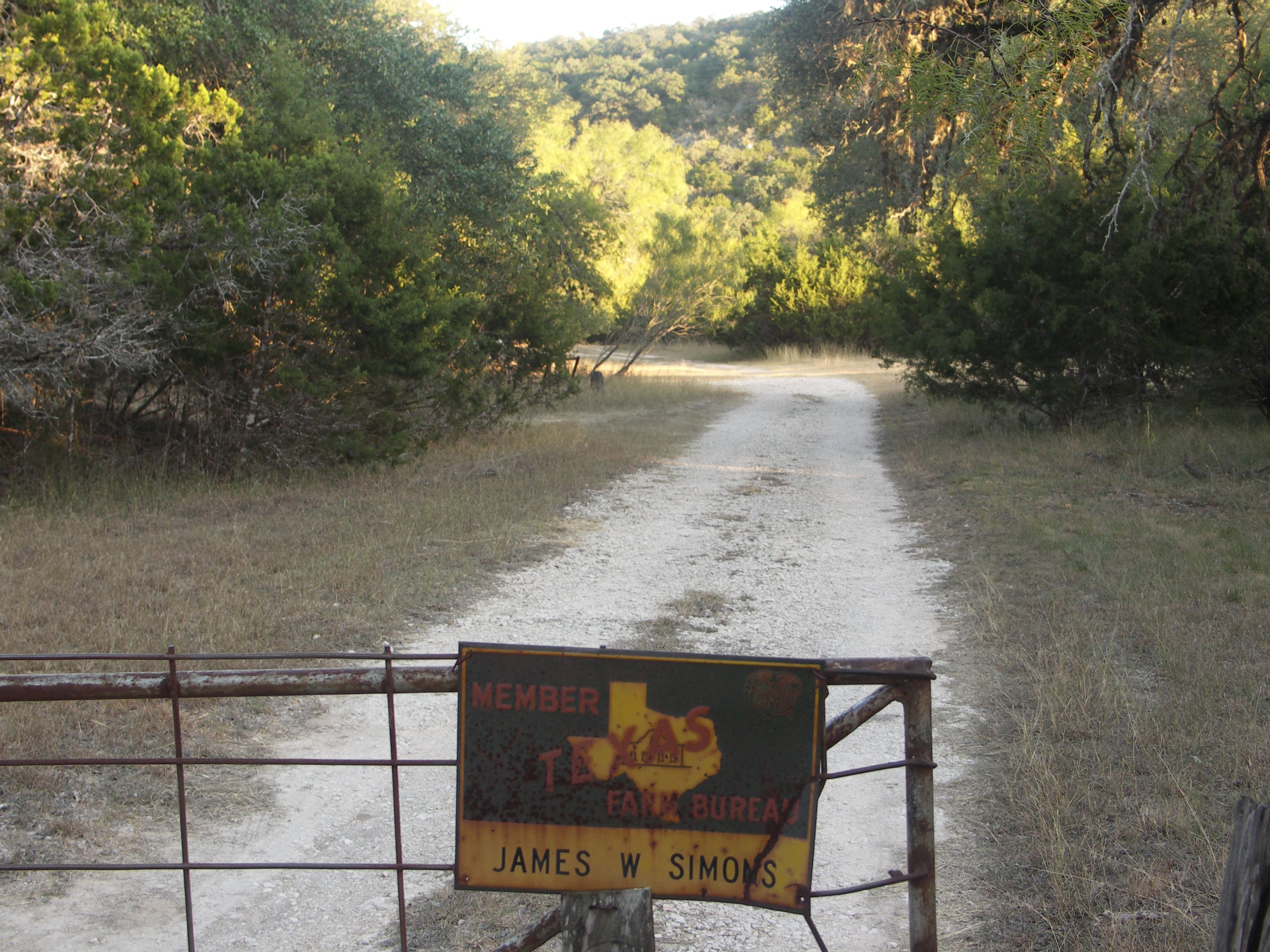 Paul Sellers Photo Images