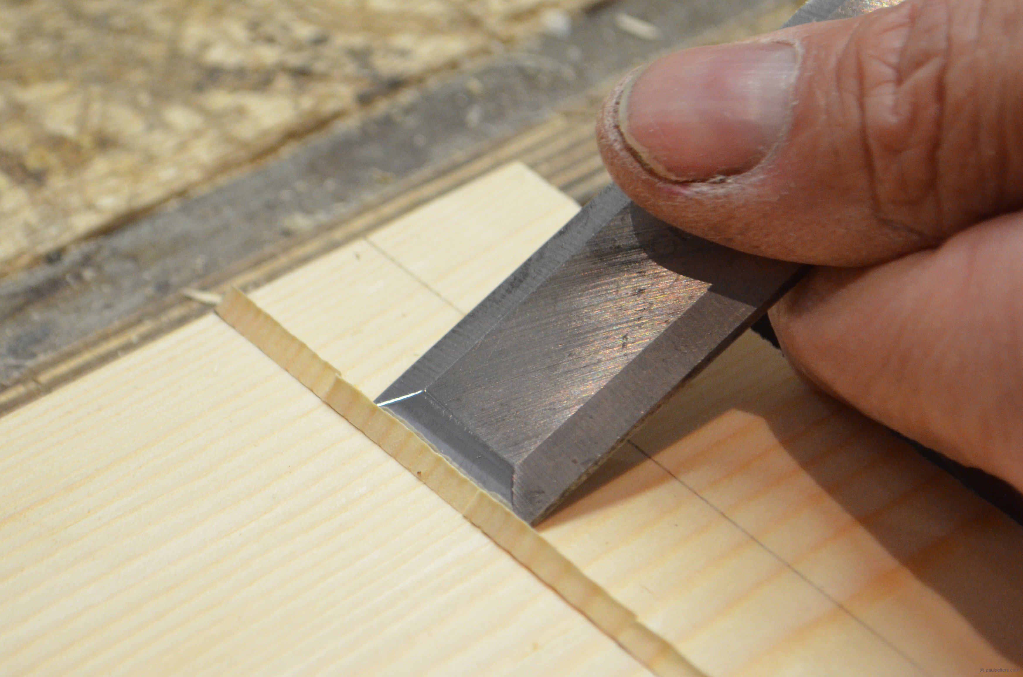 DSC_0728 - Version 2