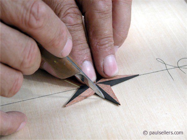 Inly str stp 20 color