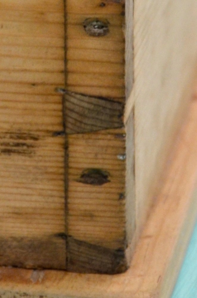 DSC_0004 - Version 3