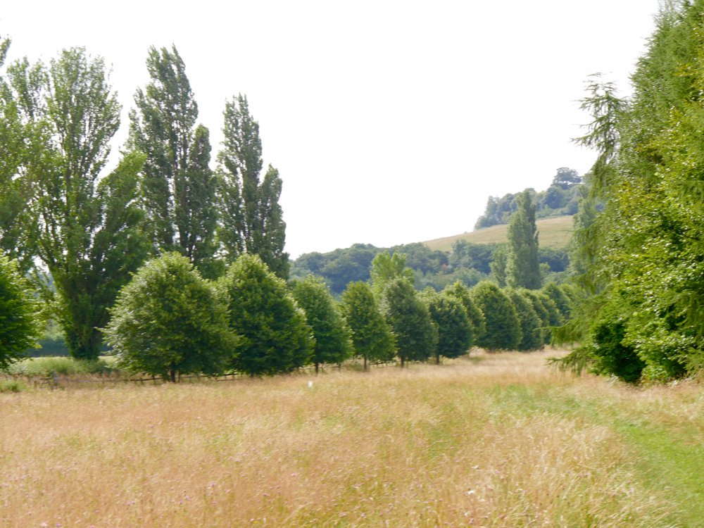 Joseph and I walk each  day in the countryside around the workshop studio.