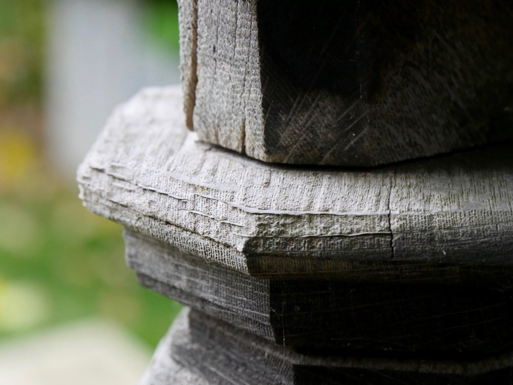 Notice here that the vertical striations forming a distinct pattern are the annular growth ring we commonly see in the whole when a tree is severed from the root.