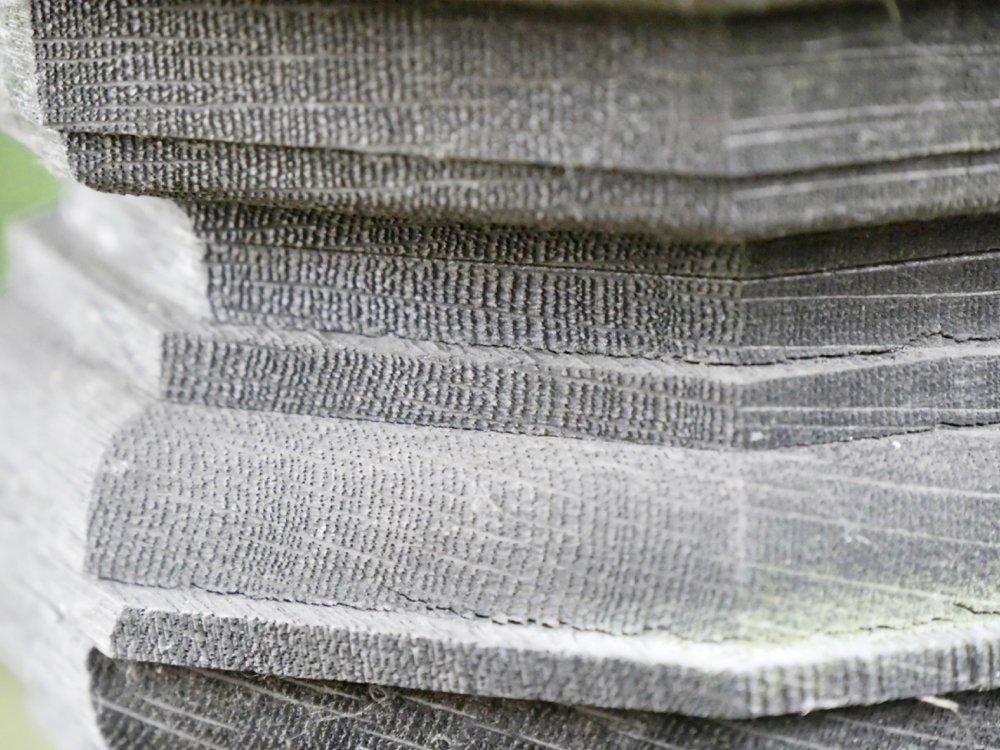 Here the pores reveal the cell walls as more resilient than the softer wood surrounding to texture our vision and our understanding if understanding can be so textured.