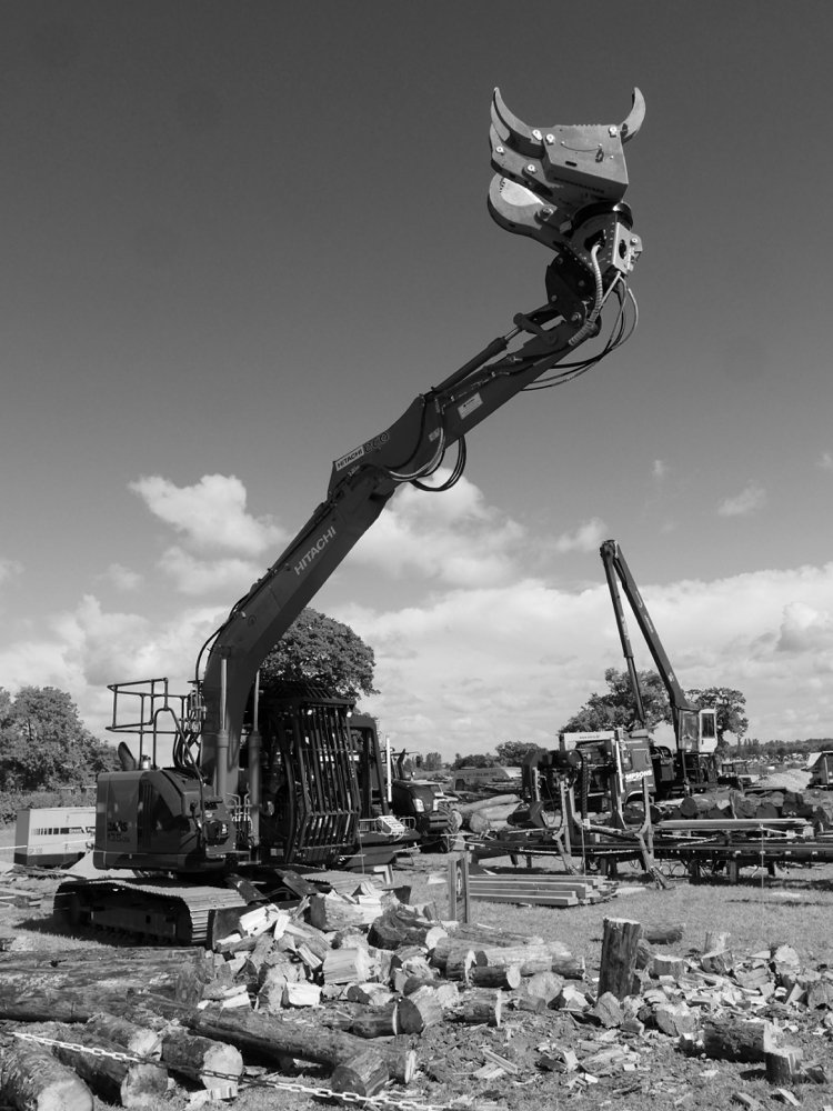 This giant reminded me of something in a sci fi. Picking up logs in a jaw that severed it in two effortlessly made me think you need to keep friends with the driver/operator.