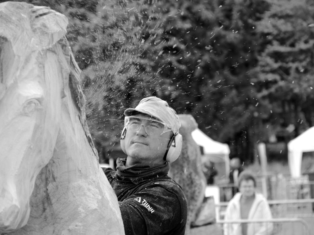 A horse rises in the chainsaw challenge for supremacy.