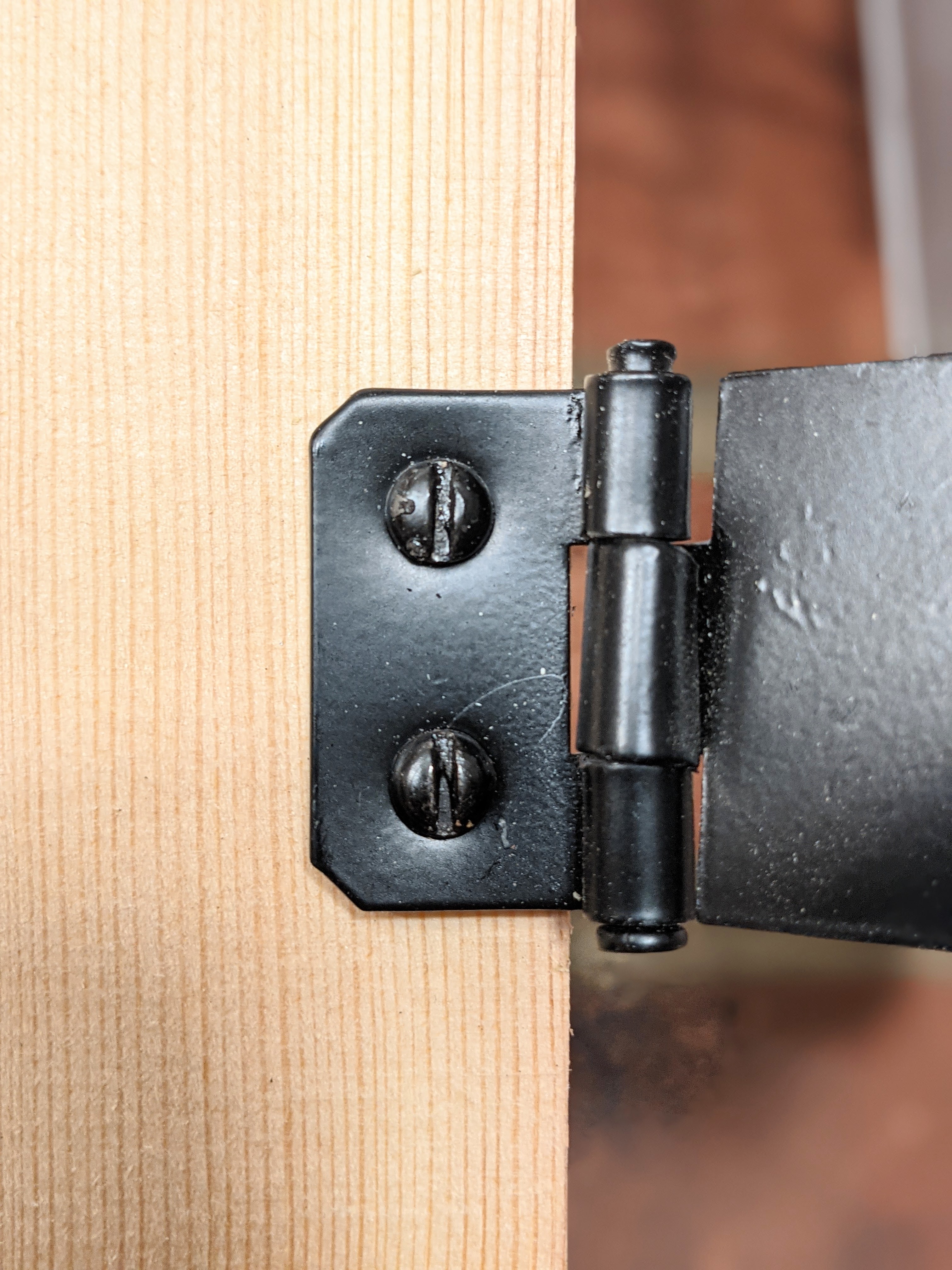 This image has an empty alt attribute; its file name is PXL_20210324_080930808.PORTRAIT.jpg